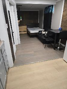 Studio Basement Suite - Photo 2