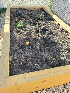 free soil