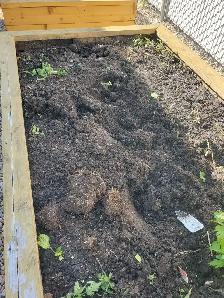 free soil - Photo 2