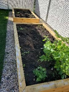free soil - Photo 3