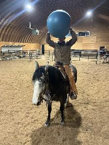 Horse Training - Photo 6