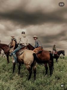 Horse Training - Photo 10