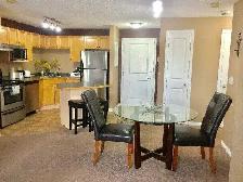Furnished Bedroom in South Condo with Gym . - Photo 7