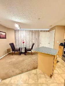Furnished Bedroom in South Condo with Gym . - Photo 10