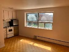 Centretown Bachelor/Studio Apartment for Rent (192 Somerset W) - Photo 3