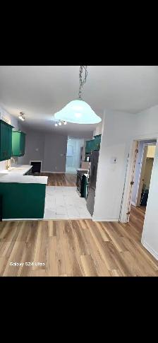 2 Bedroom 1 Den For Rent