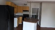 Spacious Split Level 1 Bedroom Basement with Storage & Fireplace