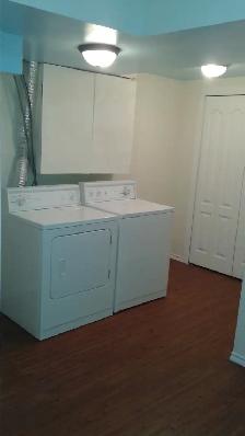 Spacious Split Level 1 Bedroom Basement with Storage & Fireplace - Photo 4