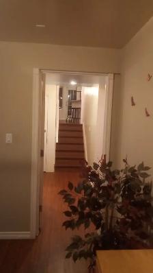 Spacious Split Level 1 Bedroom Basement with Storage & Fireplace - Photo 5