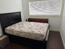 2 Bed-2 Bath in Sun Rivers (Talasa Appartments) - Photo 5