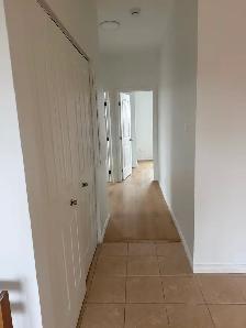 Superb 4-1/2 Apartments for rent from November 2026 - Photo 4