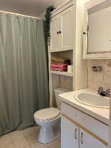 2 Beds 1 Bath Apartment - Photo 5