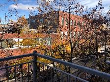 2 Beds 1 Bath Apartment - Photo 7
