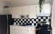 2 Beds 1 Bath Apartment - Photo 11