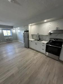 Brand New One Bedroom in Minnow Lake Utilities Included