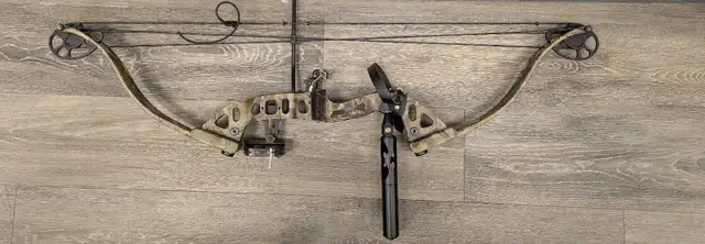 compound bow Champion Brand