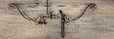 compound bow Champion Brand