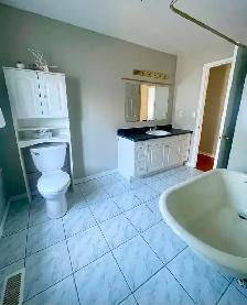 5 Bedroom Home in Belleville $2950 - Photo 4
