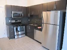 LUXURY DOWNTOWN RIVERFRONT CONDO (1 Bedroom) - GREAT LOCATION & - Photo 4