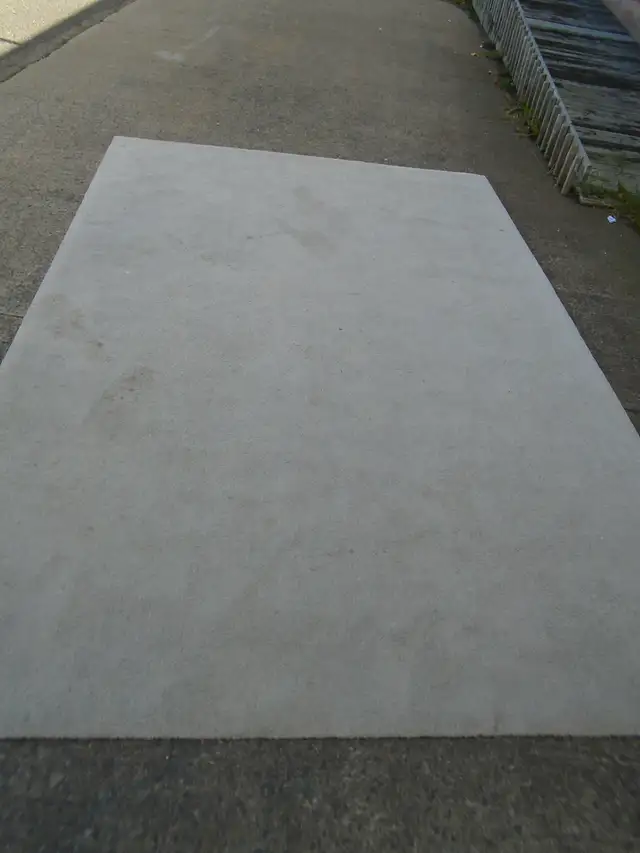 Area rug 78x118 needs cleaning