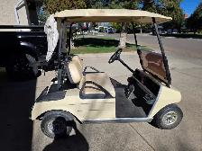 Electric Golf Cart - Photo 3