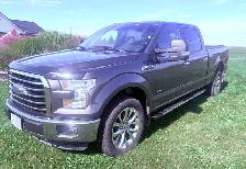 2015 Ford F-150 Pickup Truck - 2015 XLT Ford F150