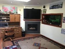 NOV. 1ST. BATCHELOR SUITE $1550 GONZALES/OAK BAY AREA. - Photo 6