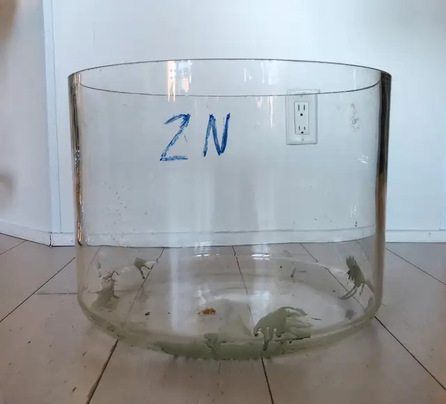Large Round Glass Ecological Aquarium Tank