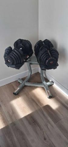 Dumbell BowFlex 1090