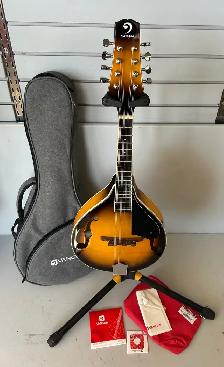 Vangoa Mandolin w/acc/bag w/$159.99 (32257417)