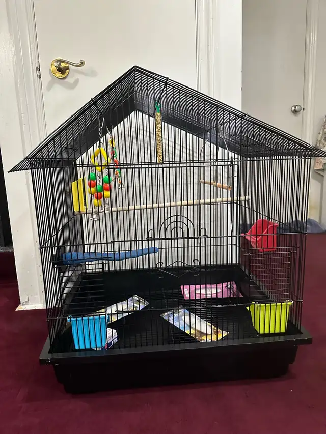 Brand new  cage for sale $ 75.