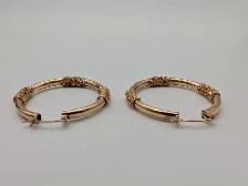 (B2384) Earrings 10 kt 7.20 grams - Photo 3