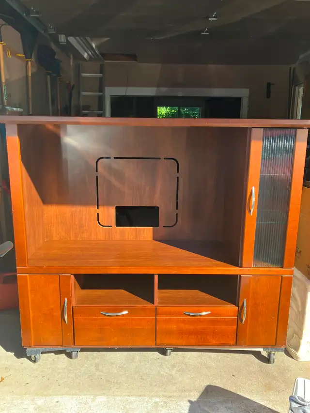 Entertainment Unit
