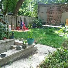 Avenue/Bloor 1 bedroom lower level with shared yard - Photo 2