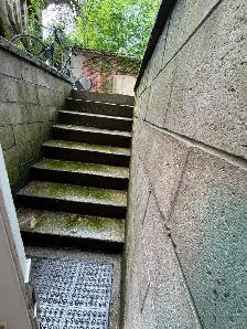 Avenue/Bloor 1 bedroom lower level with shared yard - Photo 3