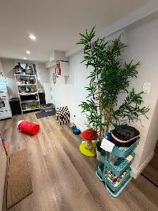 Avenue/Bloor 1 bedroom lower level with shared yard - Photo 8