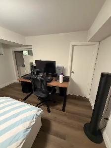 Avenue/Bloor 1 bedroom lower level with shared yard - Photo 9
