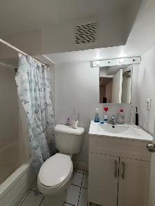 Avenue/Bloor 1 bedroom lower level with shared yard - Photo 10