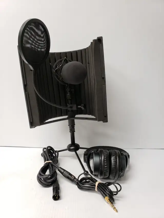 (9925918) Neewar NW-800 Microphone