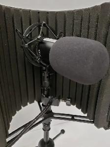 (9925918) Neewar NW-800 Microphone - Photo 3
