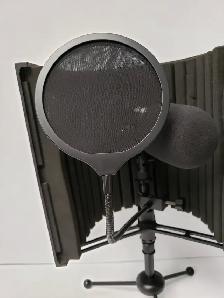 (9925918) Neewar NW-800 Microphone - Photo 4