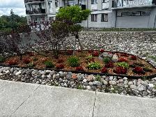 2 Bed Apartment November 1st - Near Carlingwood Mall - Photo 23
