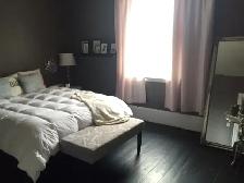 75 Suffolk St W - 1 Bedroom Condo for Rent - Photo 7