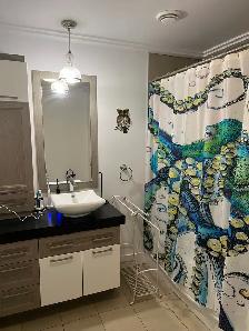 Logement 4-1/2 à Victoriaville - Photo 6