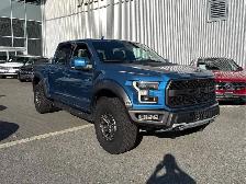 2019 Ford F-150 Raptor - Photo 3