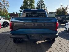 2019 Ford F-150 Raptor - Photo 16