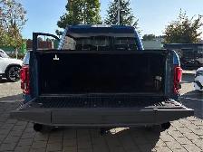2019 Ford F-150 Raptor - Photo 19