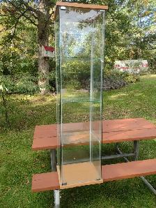 Glass 3 shelf display cabinet with light - Photo 2