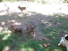 SOLD - Photo 4