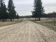 Homestead - Photo 6